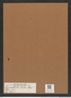 Triceratium dulce Grev. (de-Toni-Nr.: Genus 140, Species 3902) Zeichnungen Sammlung Grunow Mappe 03931 (Herbarium_W_Grunow_drawings_Folder_03931)